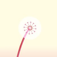 Formation bénévole d'accompagnement soin palliatifs prédiatriques 2026